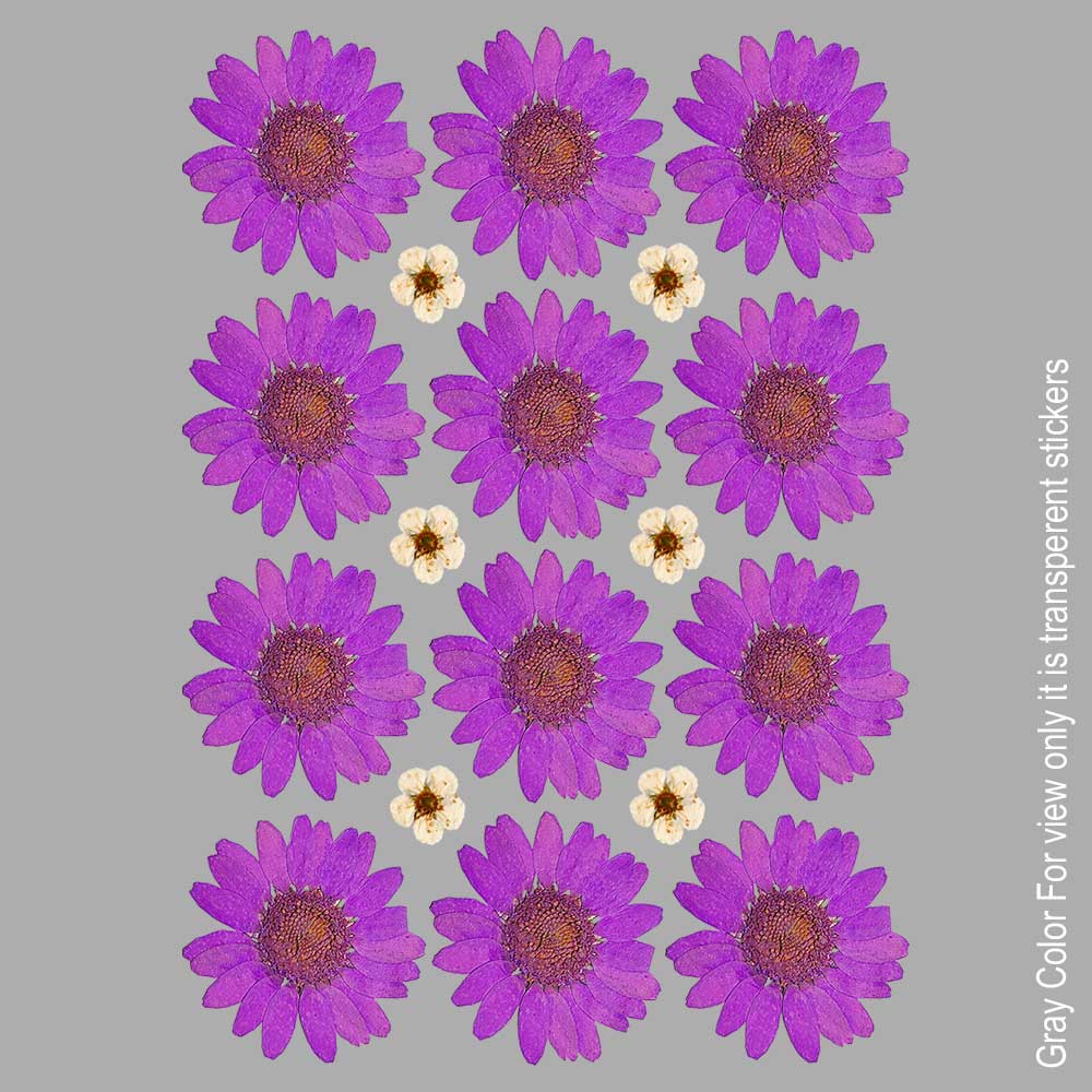 Purple Daisy Flower UVDTF Sticker A6 for Resin art