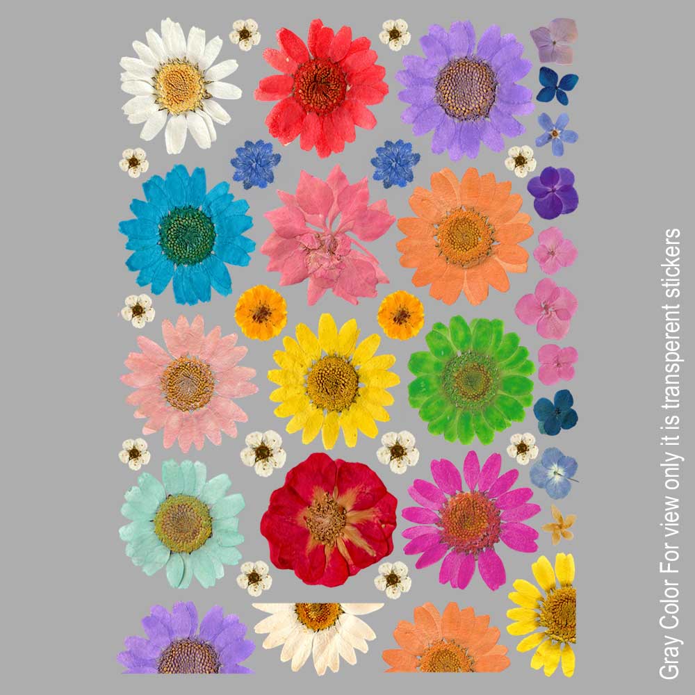 Daisy Flower UVDTF Sticker A6 for Resin art