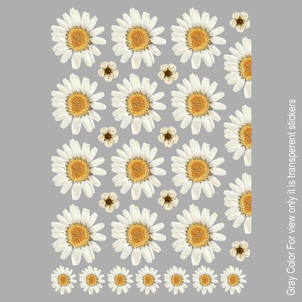 White Daisy UVDTF Sticker A6 for Resin art