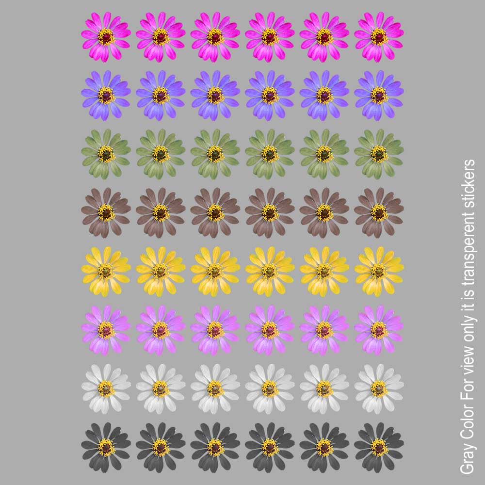 Mix Pattle Flower UVDTF Sticker A6 for Resin art