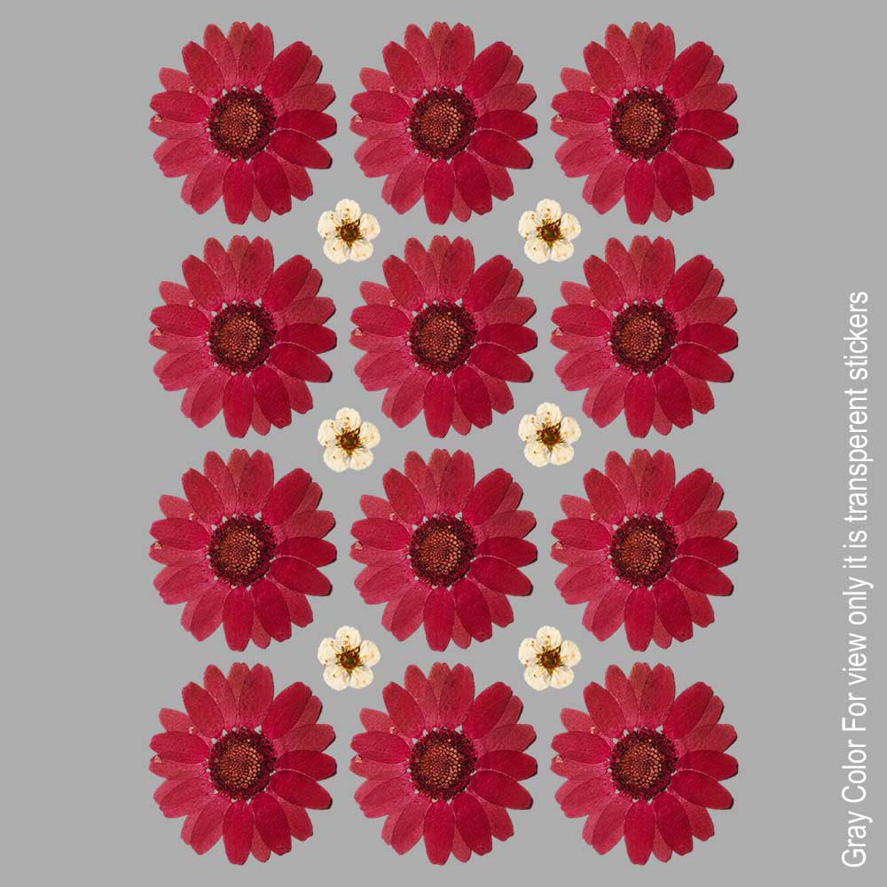 Maroon Daisy Flower UVDTF Sticker A6 for Resin art
