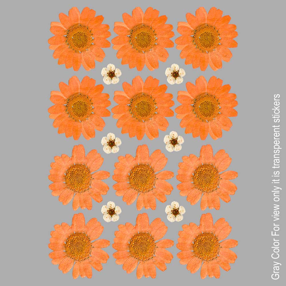 Orange Daisy Flower UVDTF Sticker A6 for Resin art