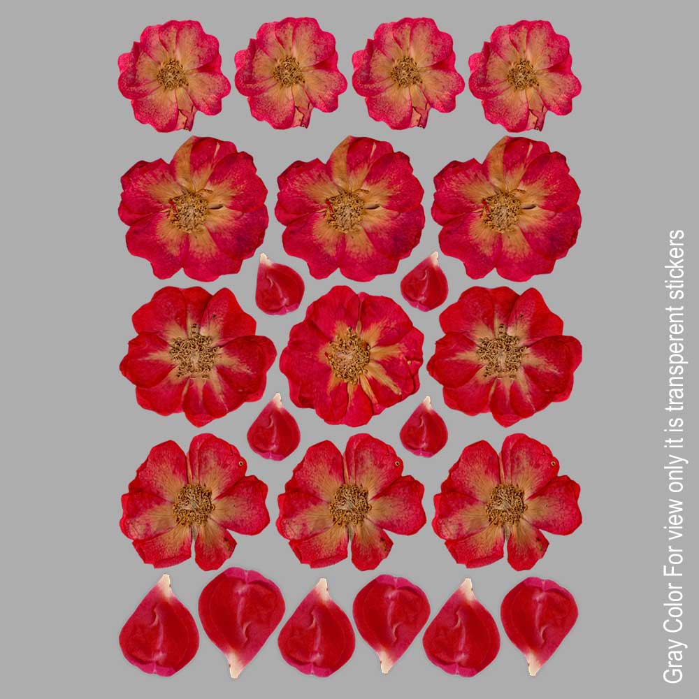 Rose UVDTF Sticker A6 for Resin art