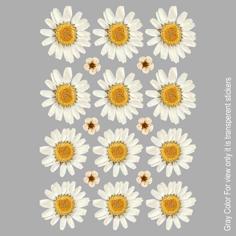 White Daisy Flower UVDTF Sticker A6 for Resin art
