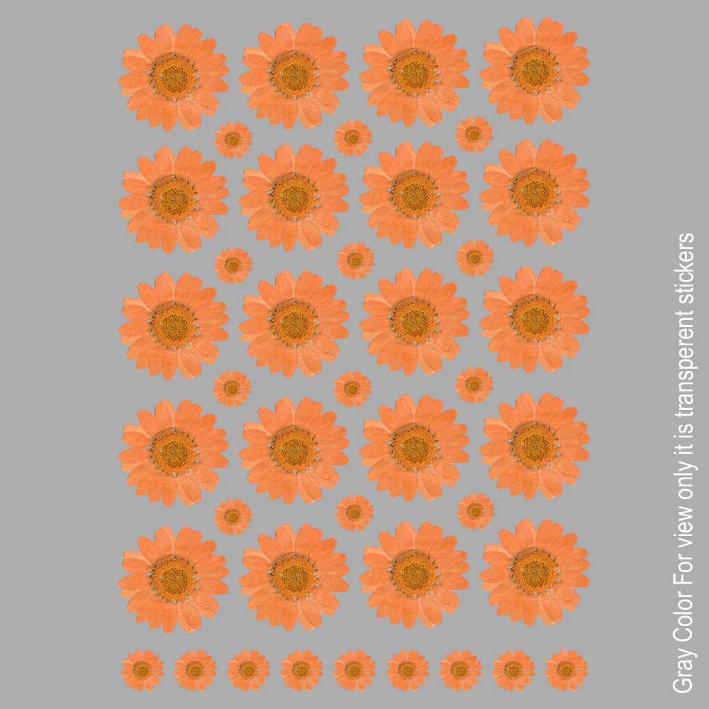Orange Daisy Flower UVDTF Sticker A6 for Resin art