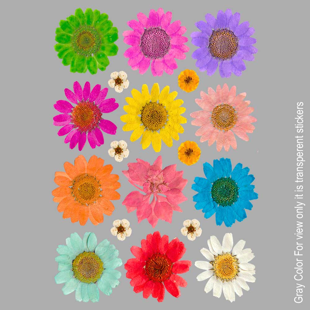 Mix Daisy Flower UVDTF Sticker A6 for Resin art