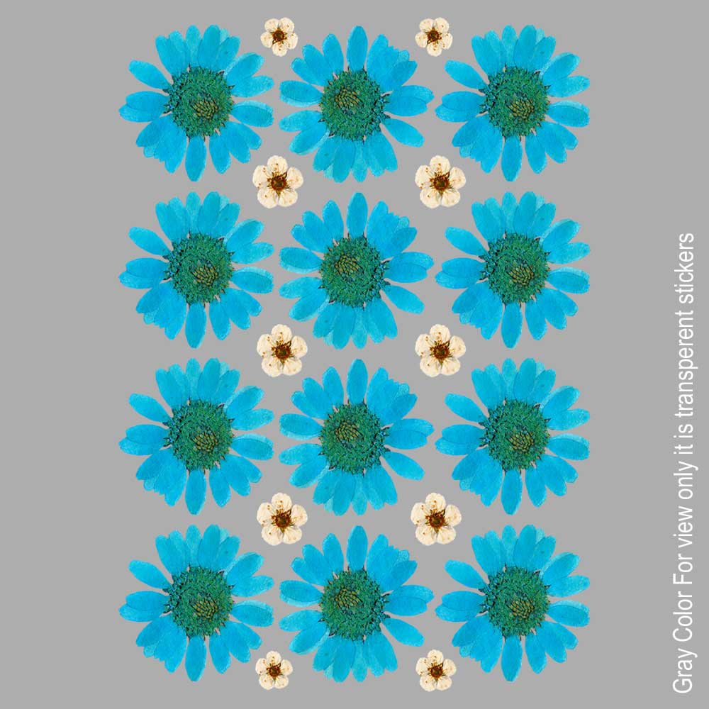 Skyblue Daisy Flower UVDTF Sticker A6 for Resin art